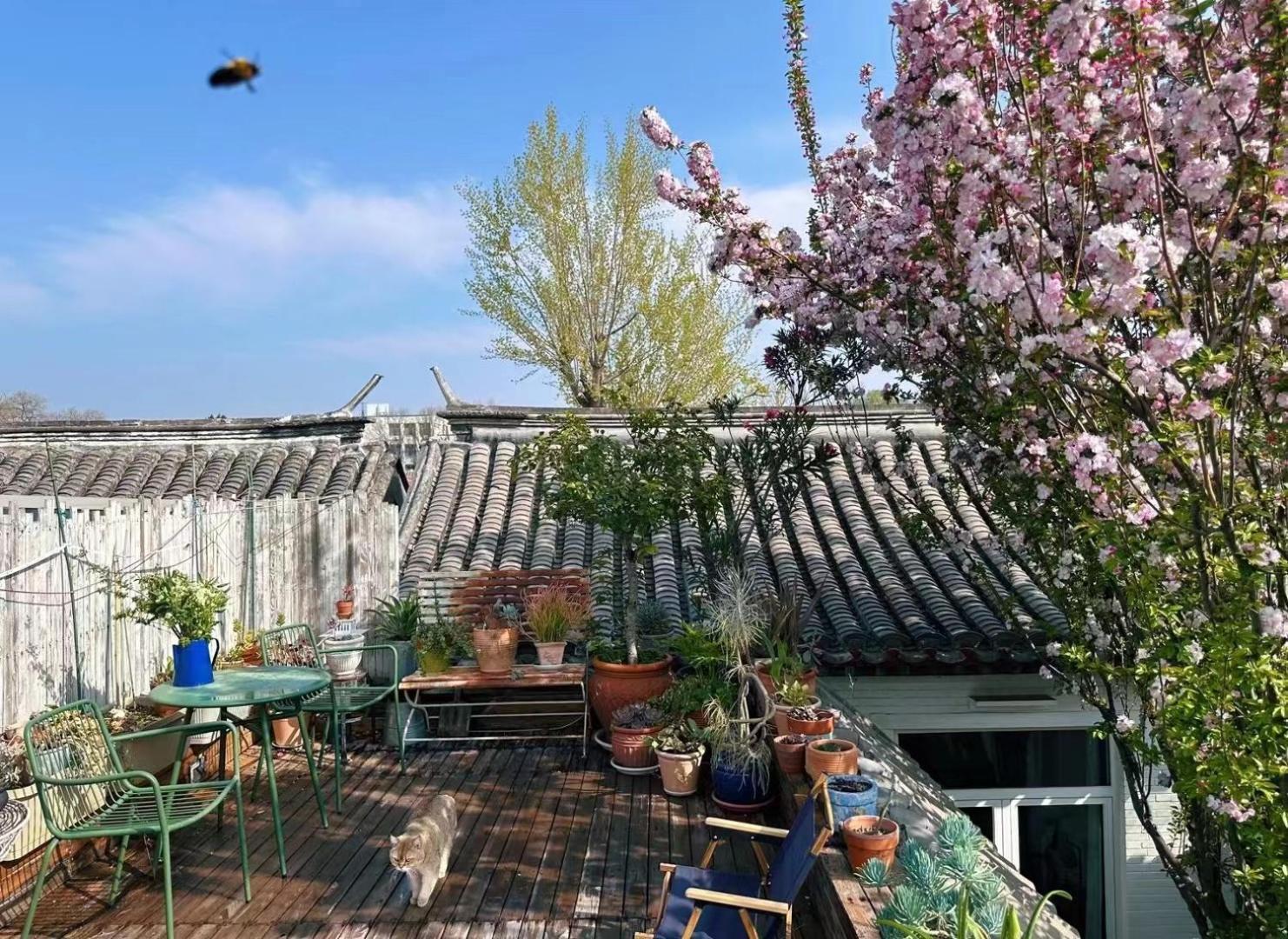 Peking Garden Boutique Hotel Eksteriør bilde