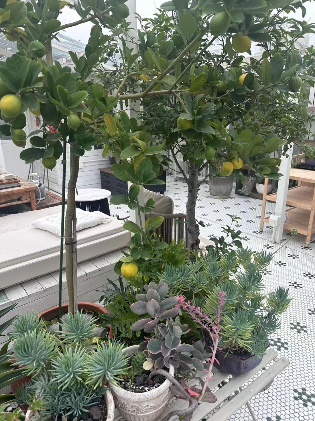 Peking Garden Boutique Hotel Eksteriør bilde